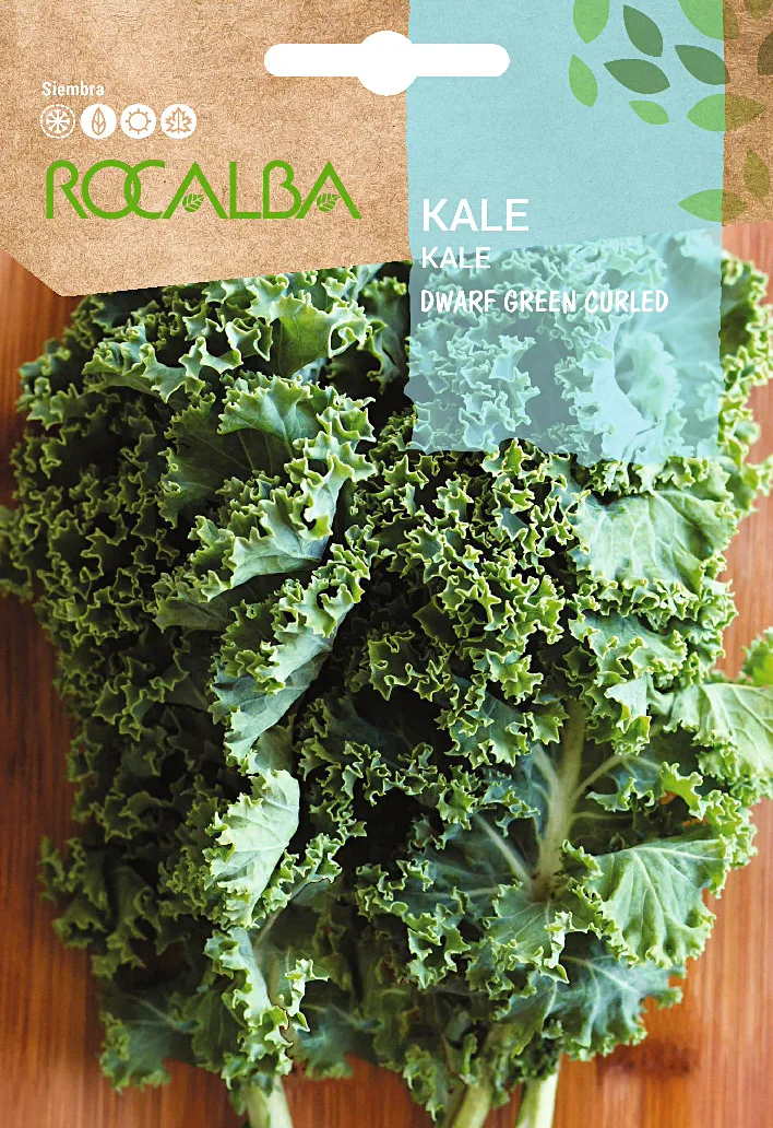 Semilla Col Kale Dwarf Green Curled