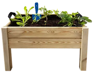 Kit Iniciacion Cultivo Leo