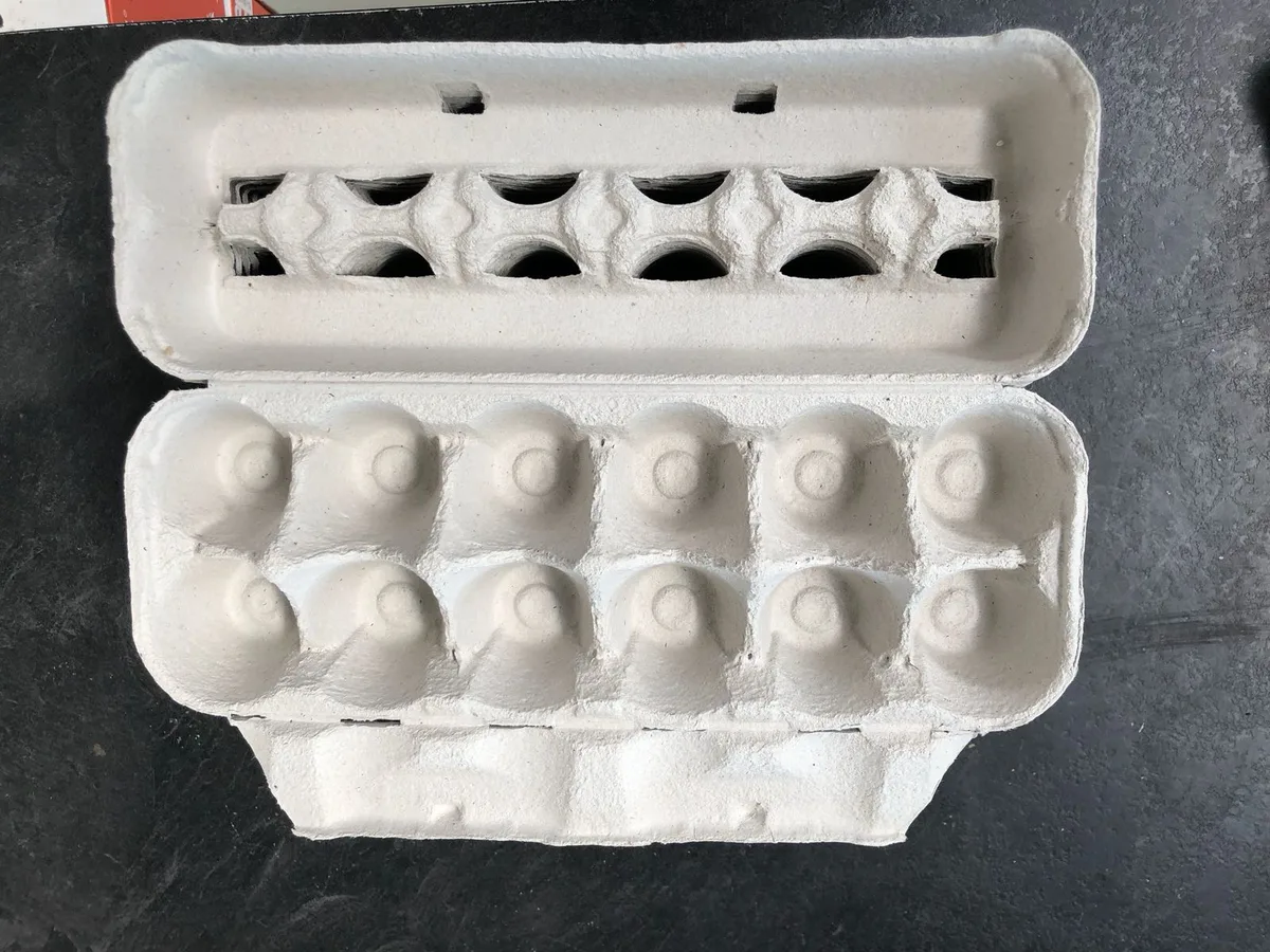 Huevera Carton Pack Ahorro 70 Unidades — foto 2