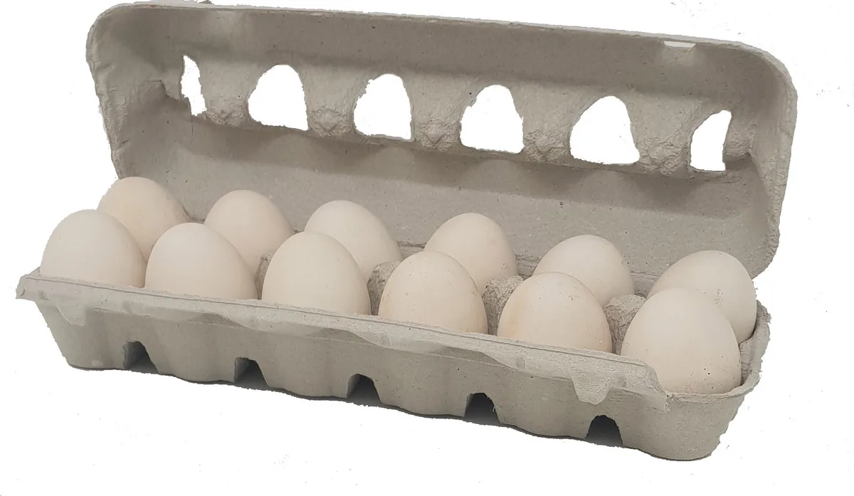 Huevera Carton Pack Ahorro 140 Unidades