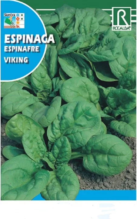 Semilla Espinaca Viking Formato 1kg