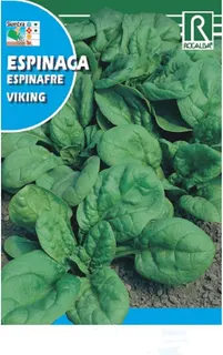 Semilla Espinaca Viking Formato 1kg