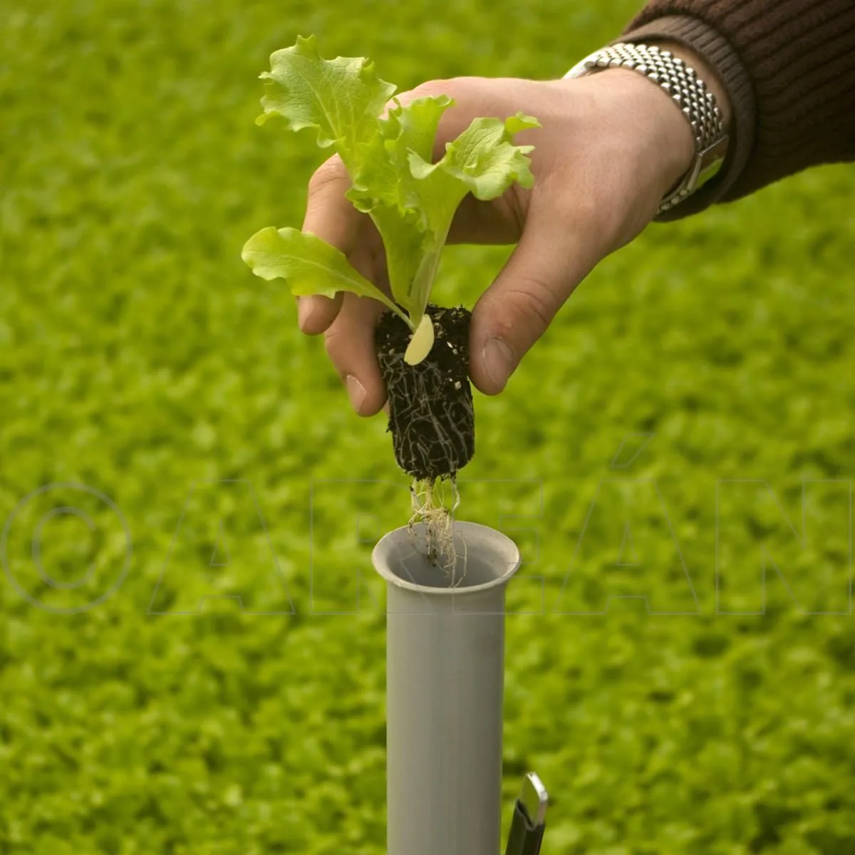 Plantadora Pequeño Multi Planter — foto 3