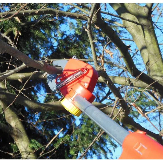 Tijera poda Pertiga Telescopica Os4000 Outils Wolf — foto 3