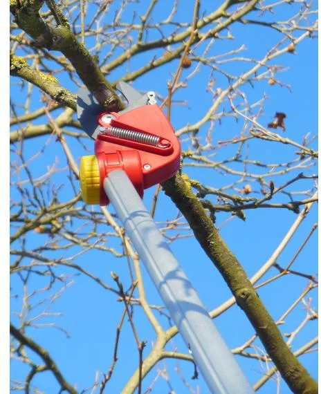 Tijera poda Pertiga Telescopica Os4000 Outils Wolf — foto 10