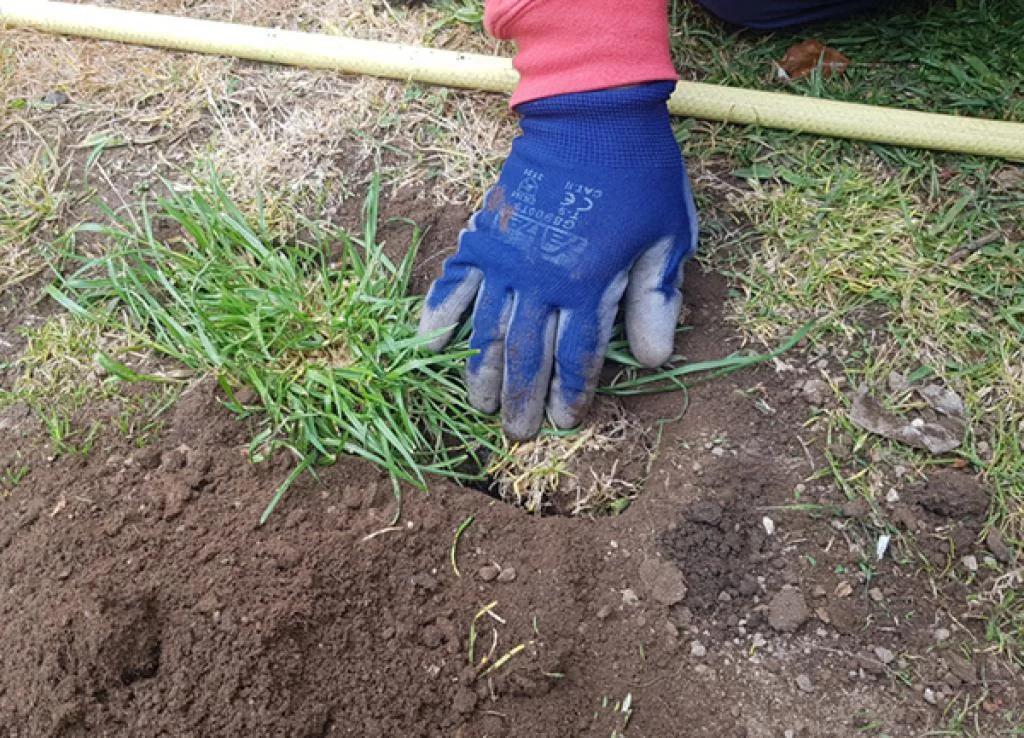 Trampa topos ecologica Brody con Agujeros — foto 6