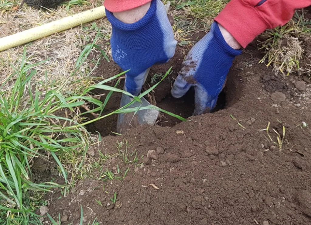 Trampa topos ecologica Brody con Agujeros — foto 4