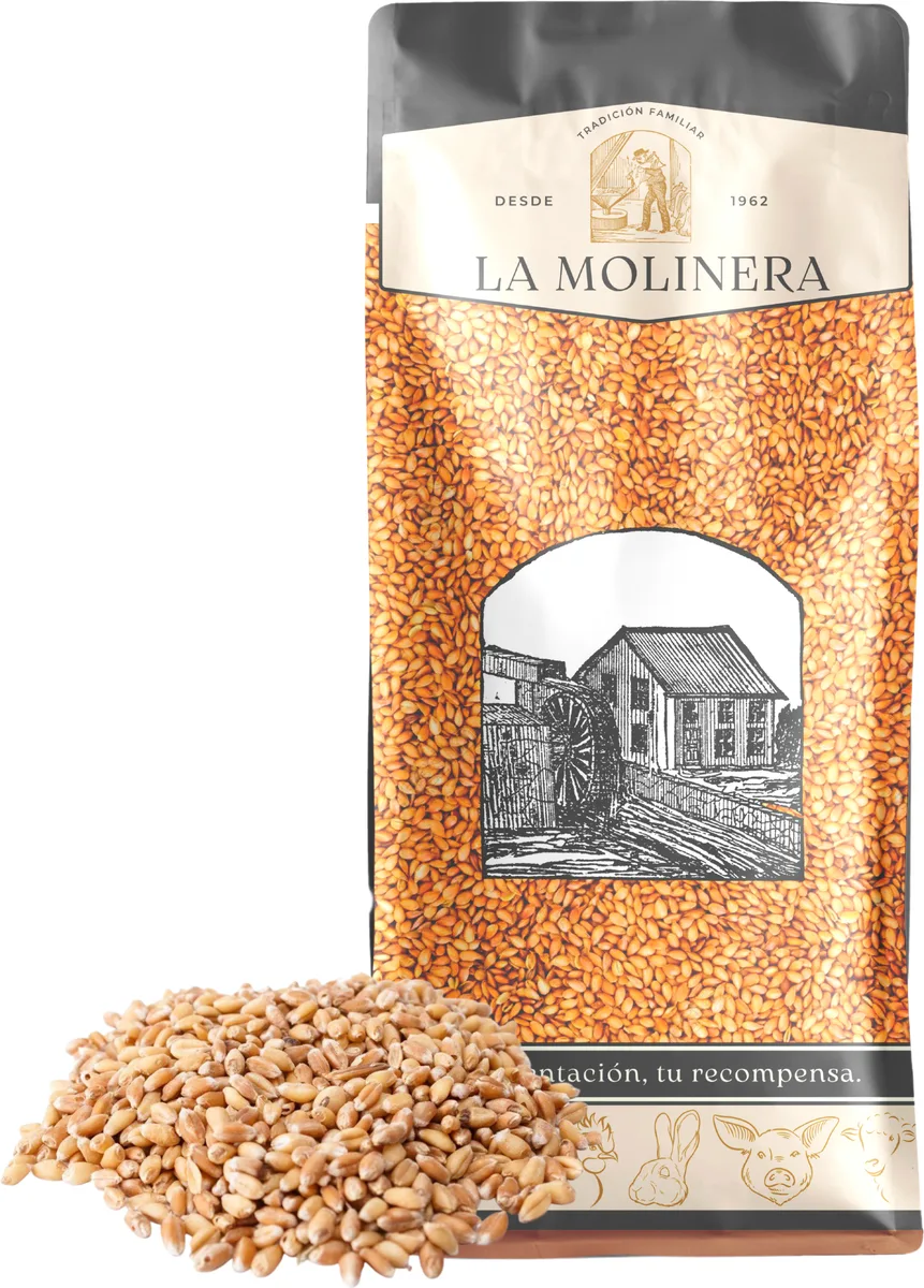 Trigo en Grano 25 kg