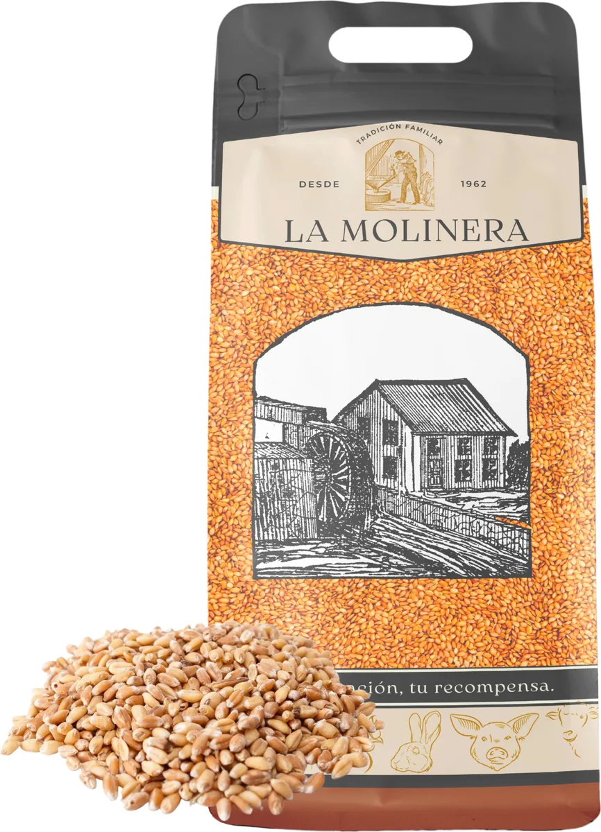 Trigo en Grano 10 kg — foto 2