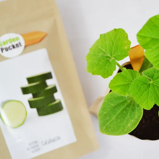 kit Huerto Pocket Calabacin — foto 2