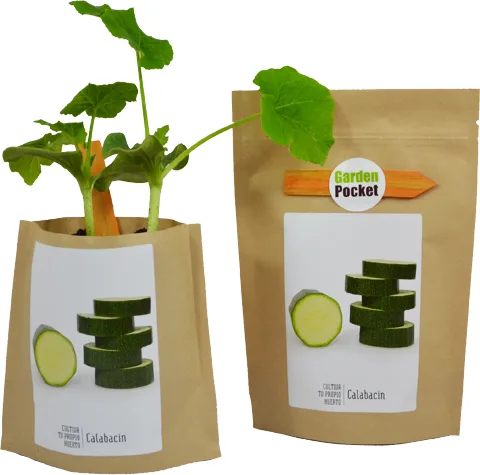 kit Huerto Pocket Calabacin