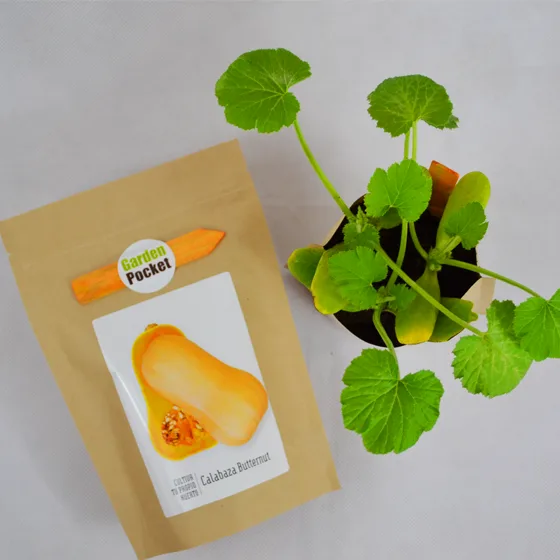 kit Huerto Pocket Calabaza — foto 2