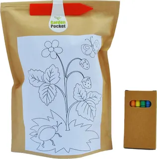 Kit de Cultivo Niños Educo Fresas