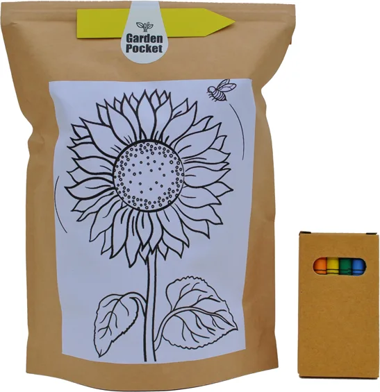 Kit de Cultivo Niños Educo Girasol