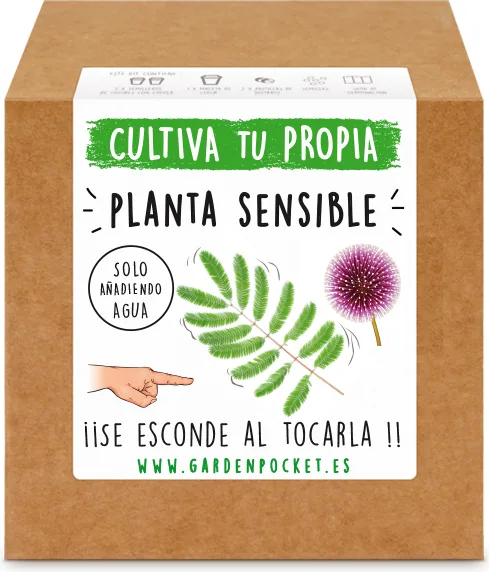 Kit Brotes Pocket Planta Sensible — foto principal