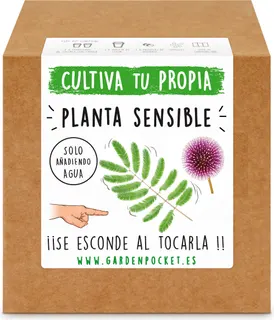 Kit Brotes Pocket Planta Sensible