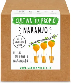 Kit Brotes Pocket Naranjo