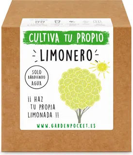 Kit Brotes Pocket Limonero