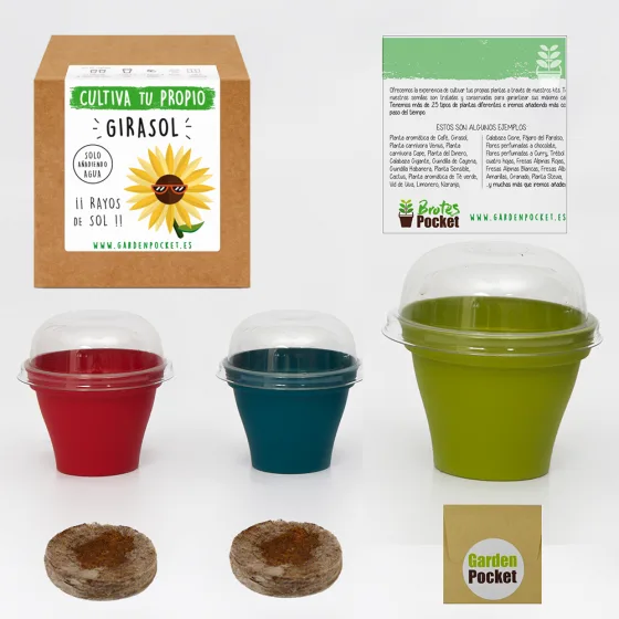 Kit Brotes Pocket Girasol — foto 2