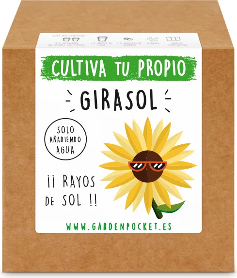 Kit Brotes Pocket Girasol