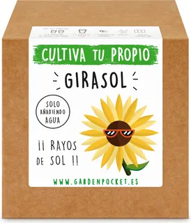 Kit Brotes Pocket Girasol