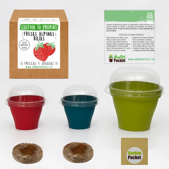 Kit Brotes Pocket Fresas Rojas — foto 2