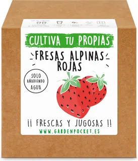 Kit Brotes Pocket Fresas Rojas