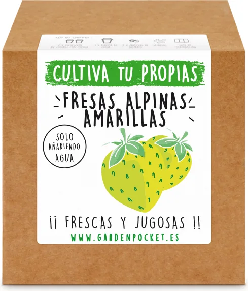 Kit Brotes Pocket Fresas Amarillas