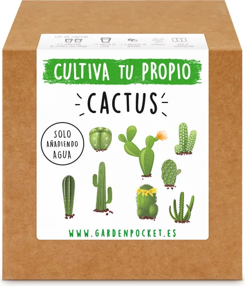 Kit Brotes Pocket Cactus