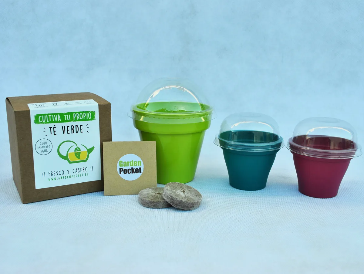 Kit Brotes Pocket Cactus — foto 2