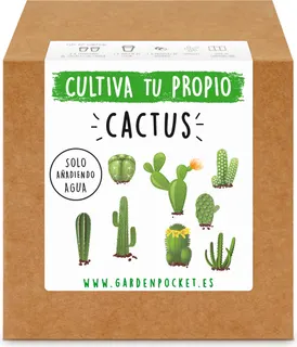 Kit Brotes Pocket Cactus