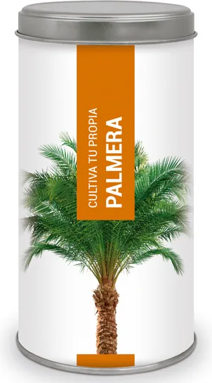 Kit Cultiva Tu Propia Palmera