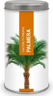 Kit Cultiva Tu Propia Palmera