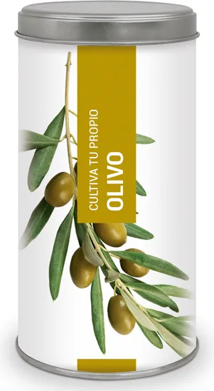 Kit Cultiva Tu Propio Olivo