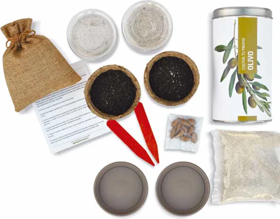 Kit Cultiva Tu Propio Olivo — foto 2