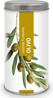 Kit Cultiva Tu Propio Olivo