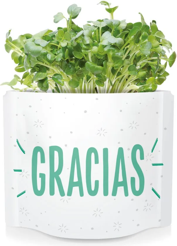 Postal Gracias -germinados Mostaza — foto 3