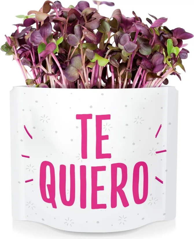 Postal Te Quiero -germinados Rabanitos — foto 3
