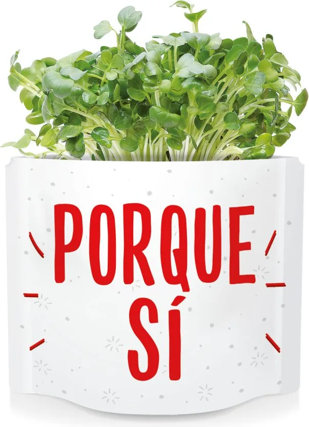 Postal Porque Si -germinados Mostaza — foto 3