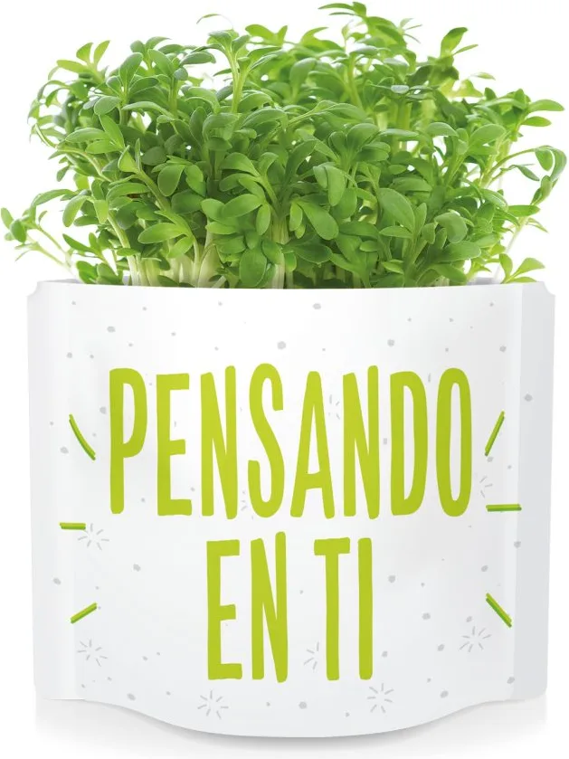 Postal Pensando en Ti -germinados Rucula — foto 3