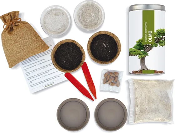 Kit Cultiva Tu Propio Olmo — foto 2