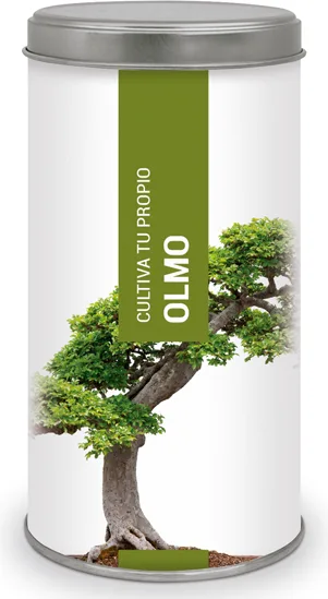 Kit Cultiva Tu Propio Olmo