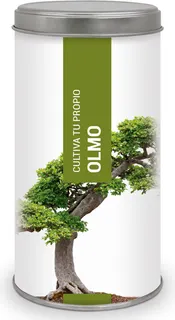 Kit Cultiva Tu Propio Olmo
