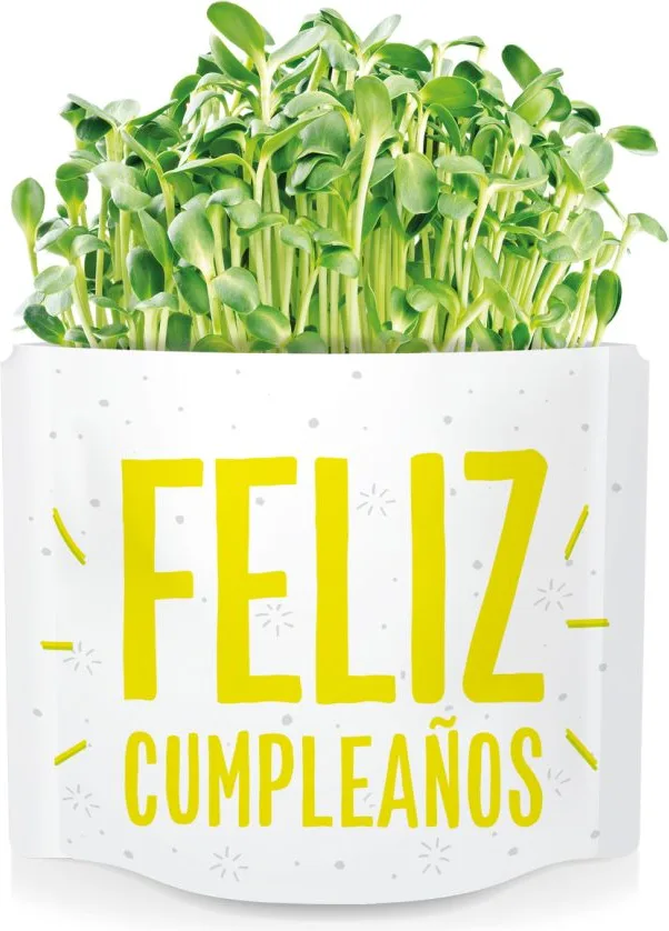 Postal Feliz Cumpleaños -germinados Girasol — foto 3
