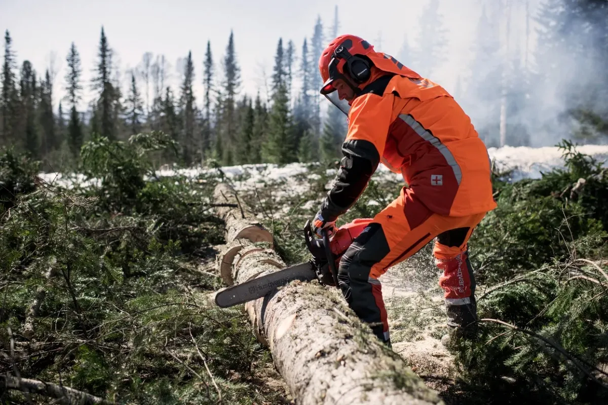 Motosierra Husqvarna 565 Autotune — foto 5