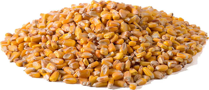 Maiz en Grano 10 kg — foto 3