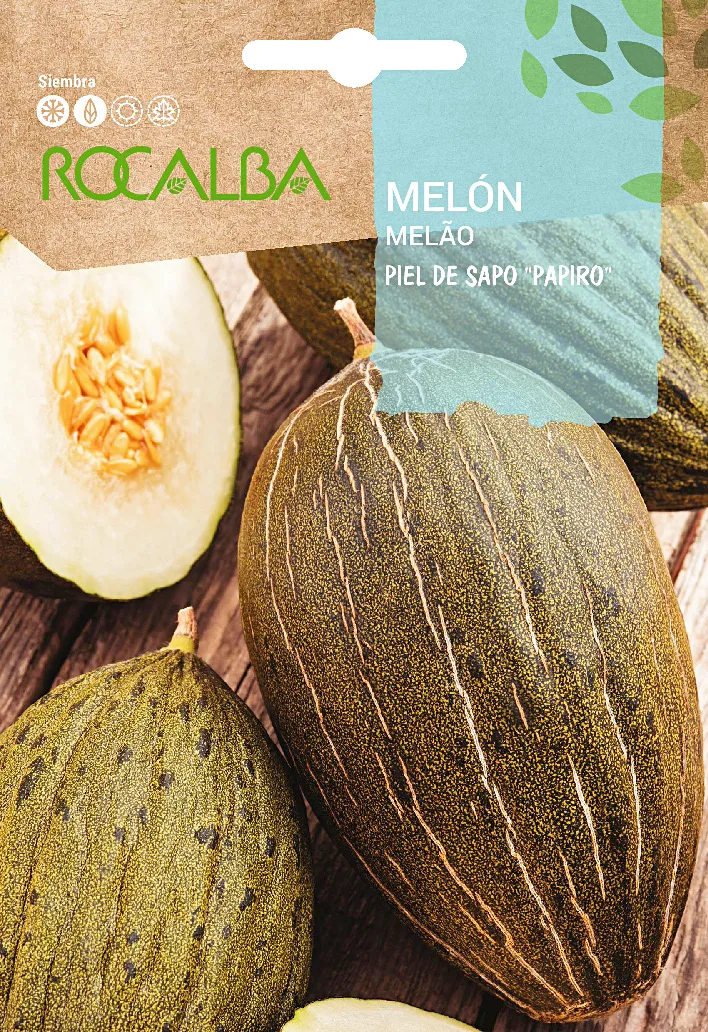 Semilla Melon Piel de Sapo — foto principal