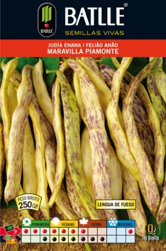 Semilla Judia Maravilla Piamonte 250 Gramos — foto 2