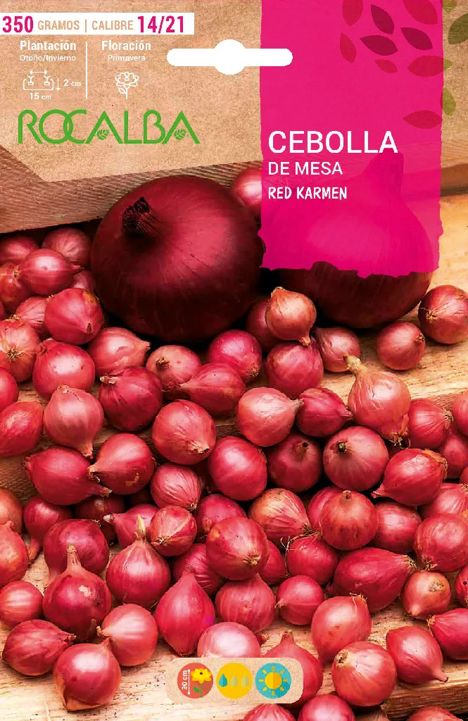 Semilla Bulbo Cebolla Roja Comred Calibre 14/21 350 Gramos
