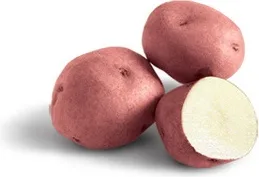 Bandeja Patata Siembra Red Pontiac -Piel Roja- 100 Unidades — foto 2